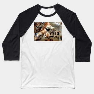 African Giraffe Amelopardalis Giraffa Baseball T-Shirt